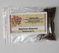 Сухой компостный мицелий Agaricus bisporus