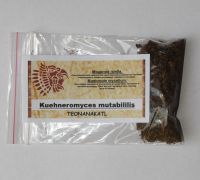 Сухой компостный мицелий Kuehneromyces mutabilis 